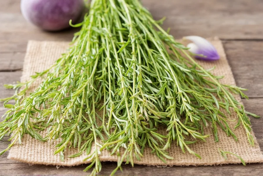 what is summer savoury a zesty herb that deserves a spot in your spice rack