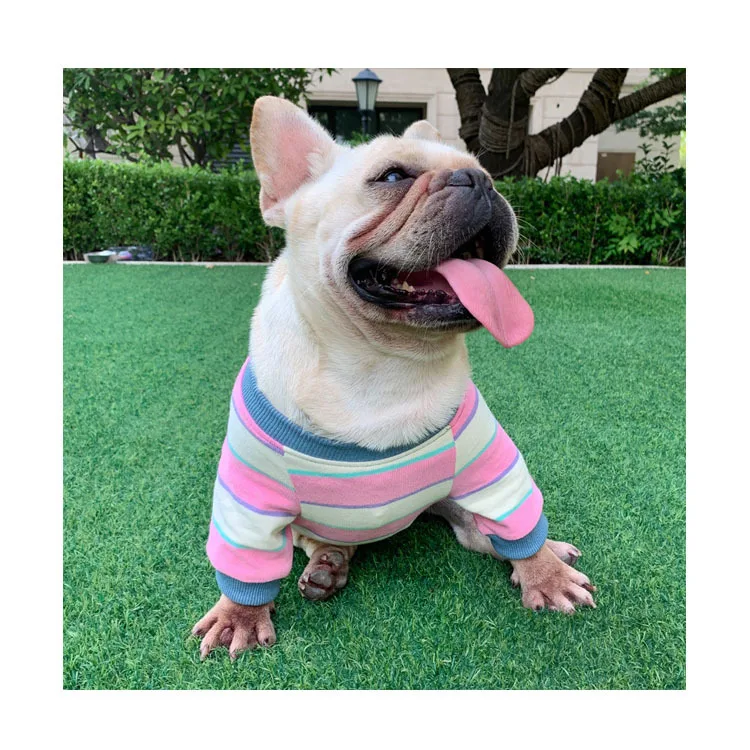 

Dog Clothes Vendors Dog Clothes Match With Owner, As picture