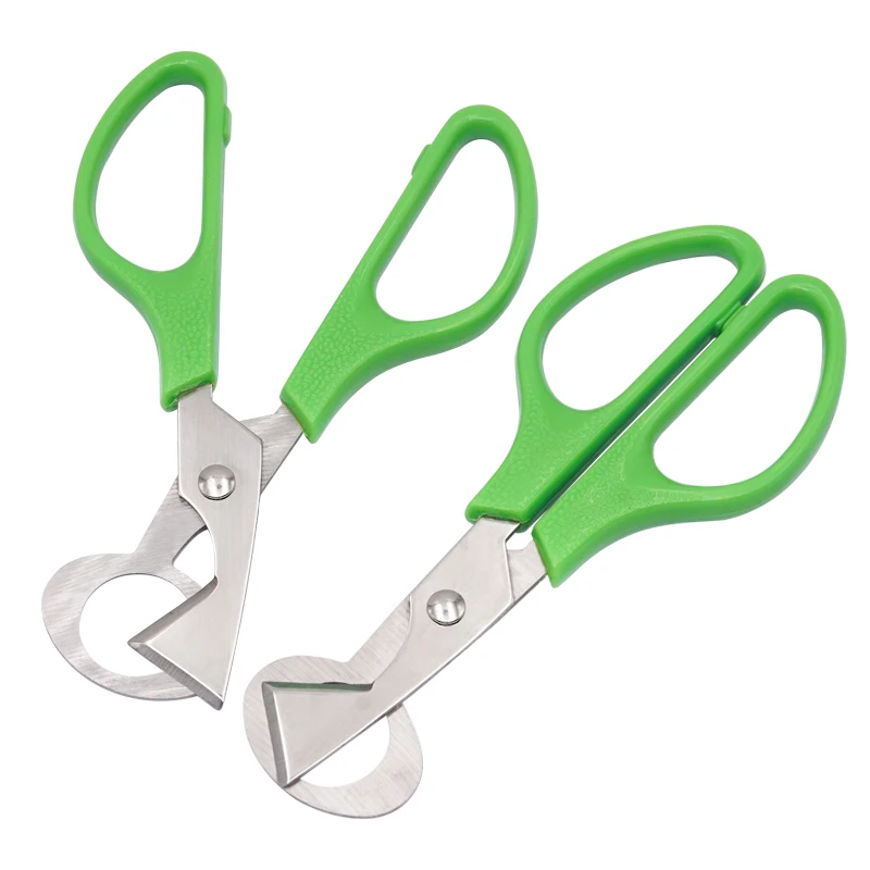 

Mini Kitchen scissors Comfort Grip Egg shell Cutter Stainless Steel Quail Egg Scissors Green Poultry Pigeon Bird Eggs Cutter