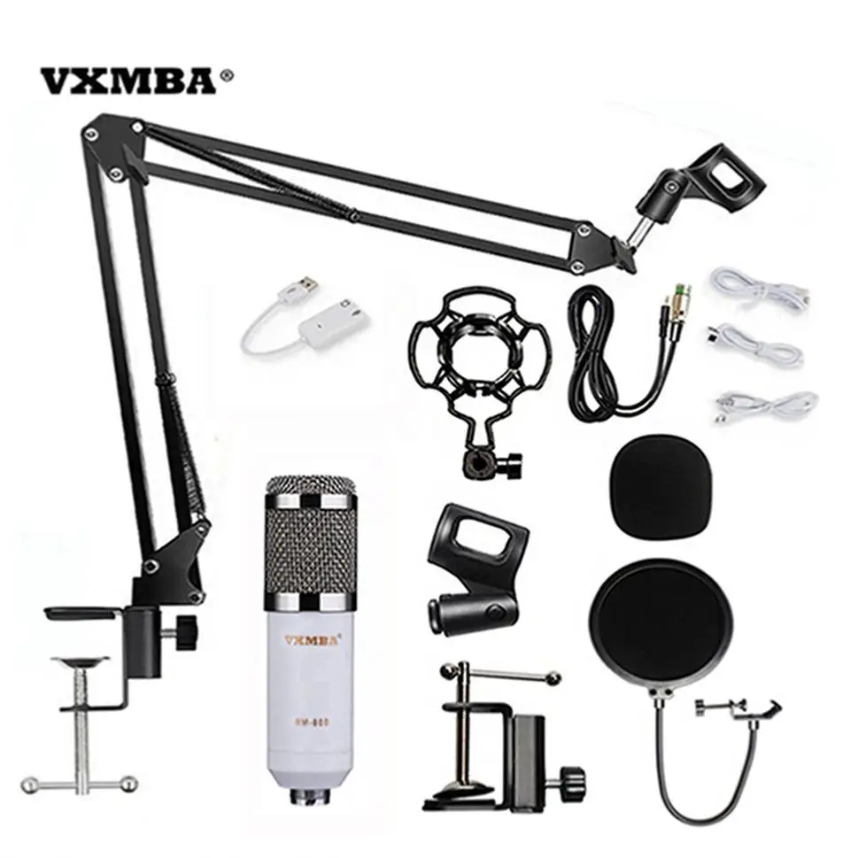 

New Arrival Free Shipping Professional Pure Condenser Microphone Oem