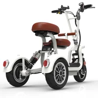 

Wholesale 48V 3 wheel electric scooters 8A