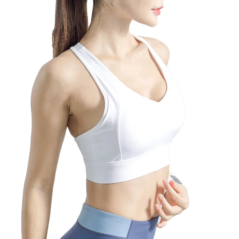 

Panic Buying Purple Color Green Color Light Blue Color Sports Bras