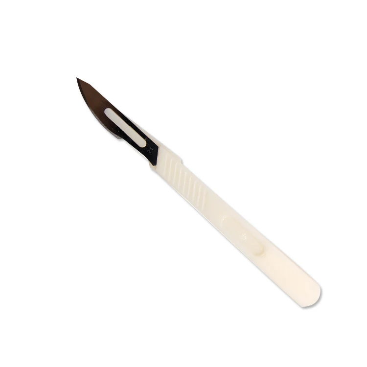 

Bread Knife Carbon Steel Blade PP Shank Western-style Baguette lame, White
