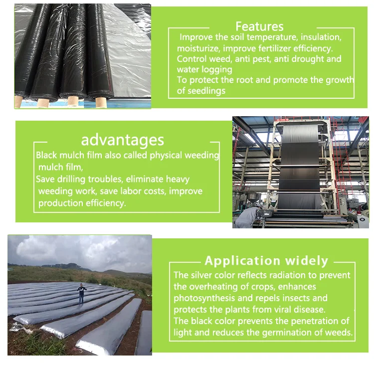 paste-pic-dp_uuid_0rel6