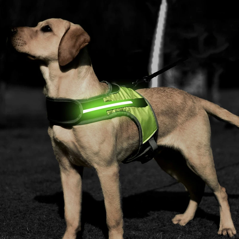

Outdoor Training Walking LED Night Pet Dog Harness Adjustable Dog Harness