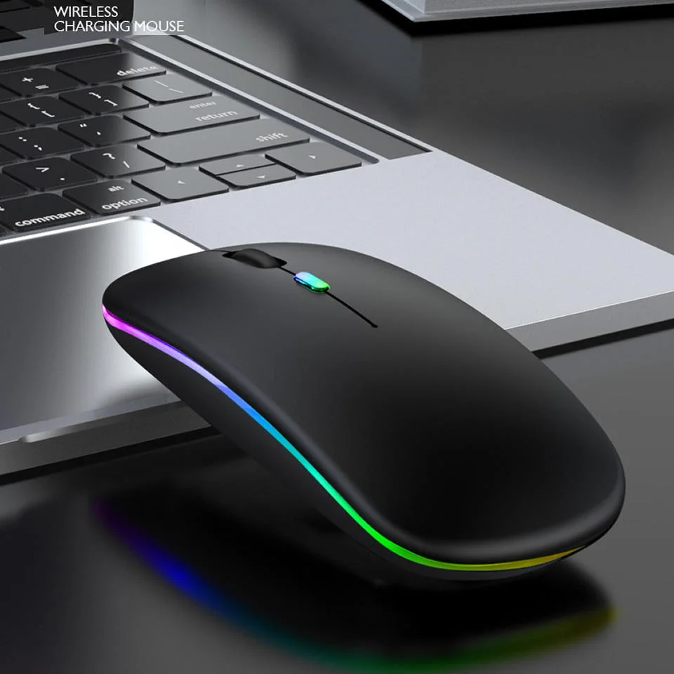 

2.4G Computer Mouse Ergonomic Mouse with USB Receiver, 3 Adjustable DPI Levels, 1600DPI USB Mice for Laptop Chromebook Notebook