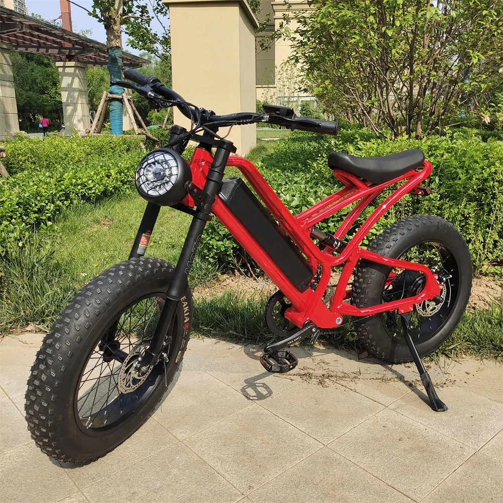 

REALMAXS CHEAP 20INCH electric off road bicycle 48V 1000w electric dirt bike e dirt bike electric bicycle