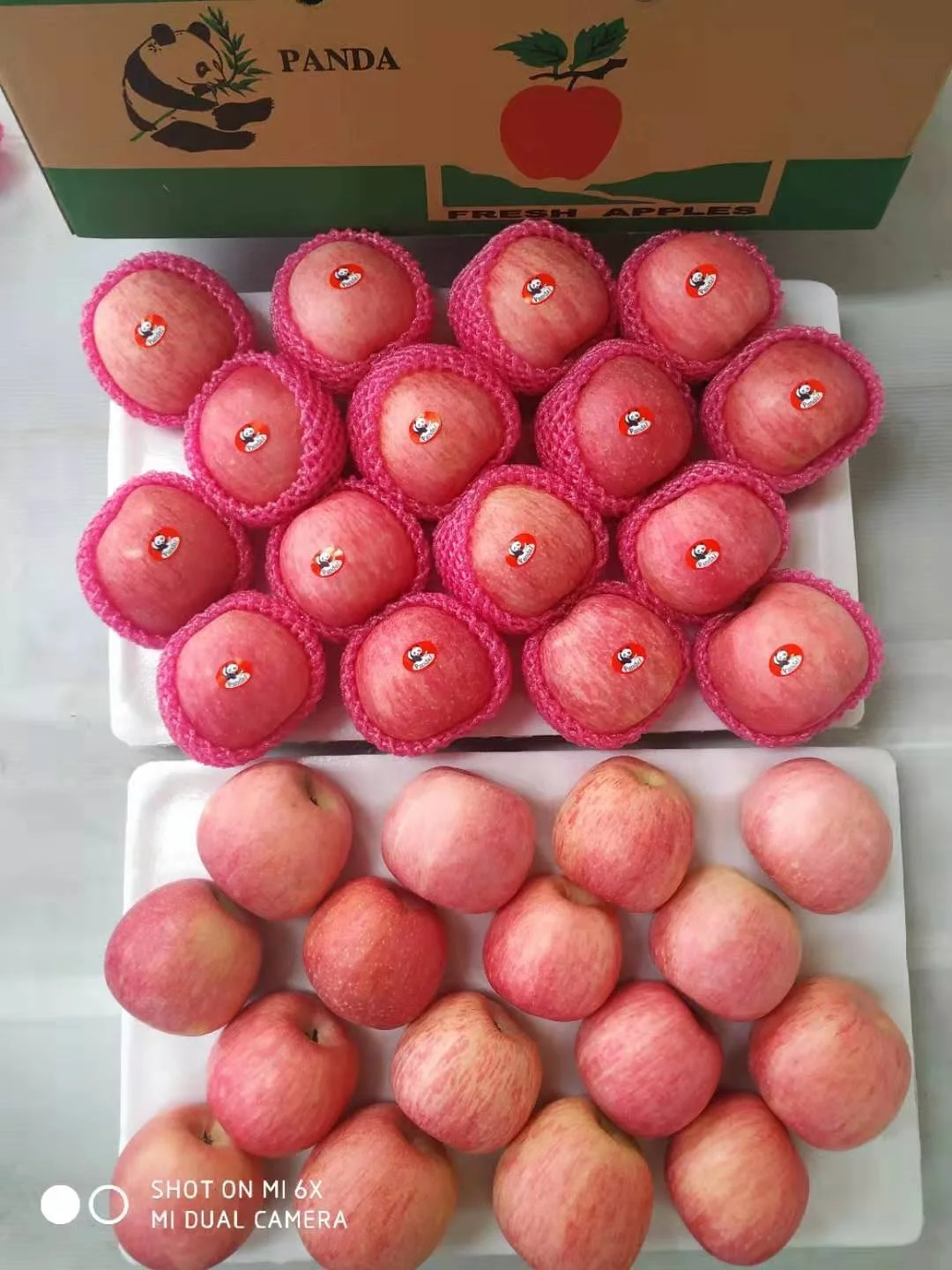 
Sell Shandong Produced Fresh Fuji Apples 