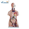 85CM Unisex Torso 40 Parts Human Trunk Anatomy Model Internal Organ Anatomy Model Medical Teaching