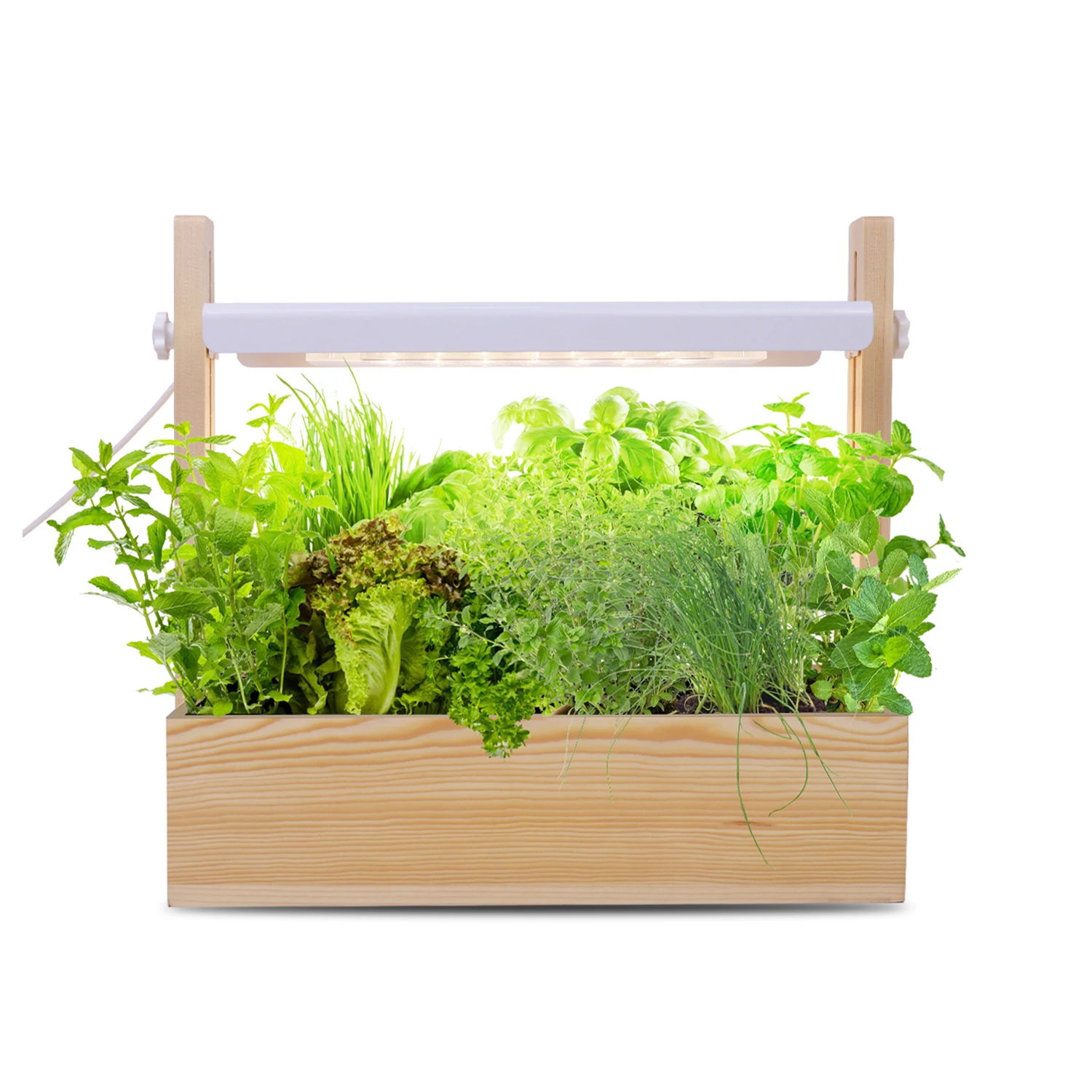 

LED 14w height adjustable planter wood herb garden detachable indoor planting click and grow smart indoor garden