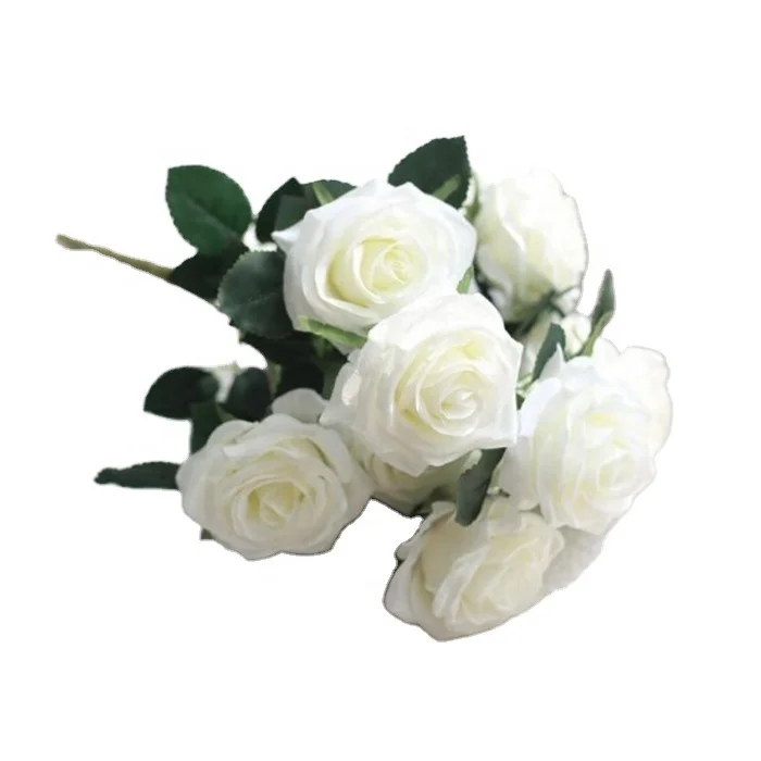 Paquete De 10 Mini Brillo Rosas