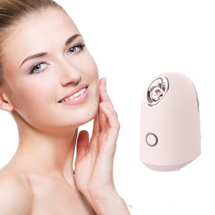 

High quality personal small portable face spa mist sprayer steamer 2020