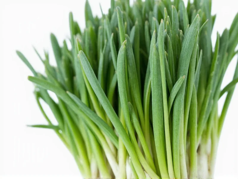 What Do Chives Taste Like? Mild Onion Flavor Explained