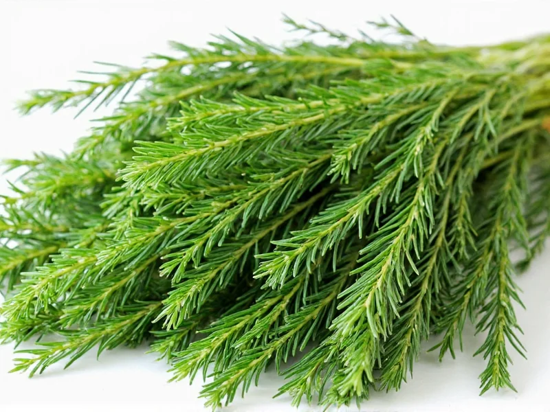 Dill Health Benefits: Science-Backed Advantages