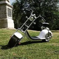 

2019 Best Selling Scrooser citycoco 2000w E-scooter With CE Certificated with cheaper price