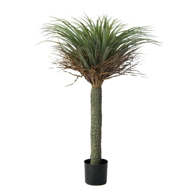 

FRP used in shopping malls and hotels to decorate Yucca artificial dragon's blood tree Artificial plant, Green or yellow edge