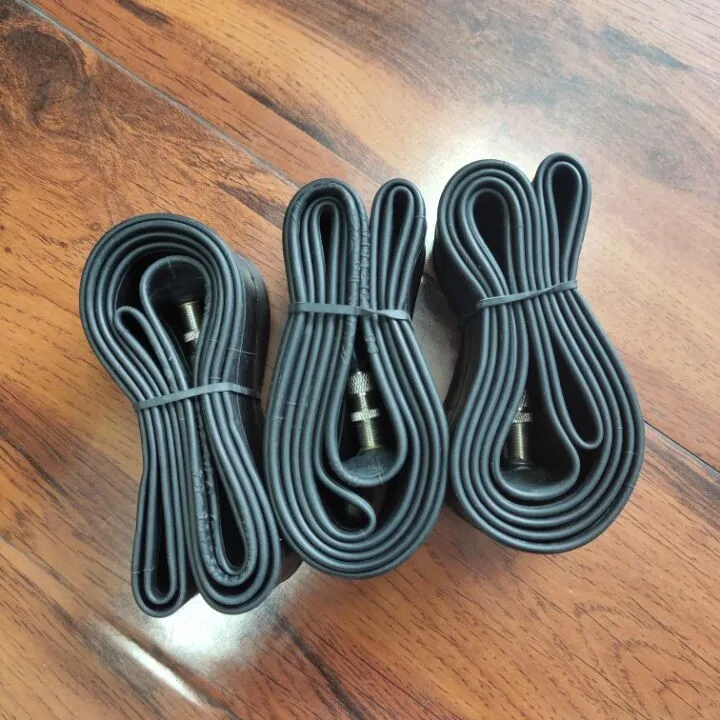 bicycle tube EV