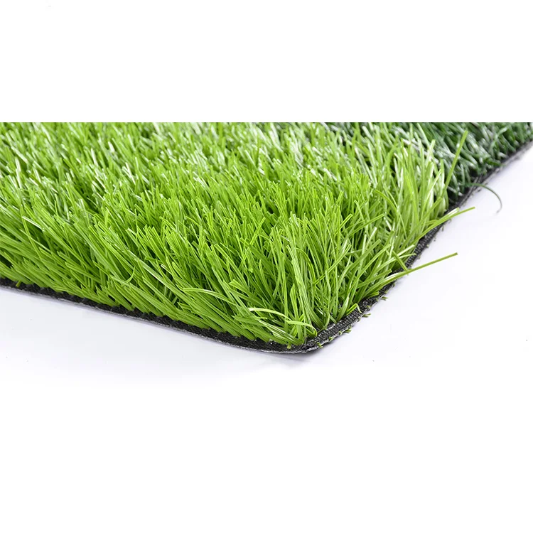 

School university playground soccer football artificial grass