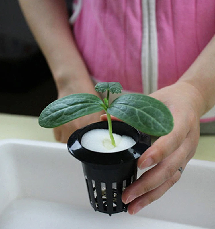 Net pot X8.jpg