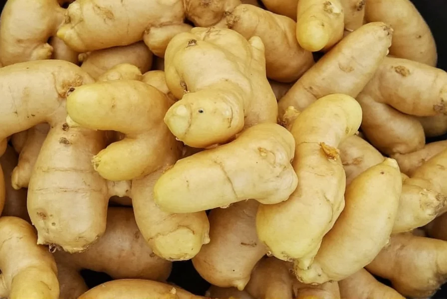 Ginger Star: Complete Guide to This Premium Ginger Cultivar