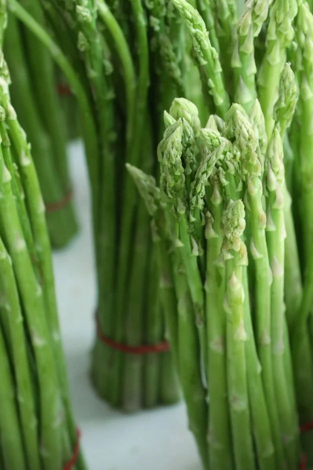 
Peru Grown Green Asparagus BUNCH Robinson Fresh MOQ 11 Lbs Quick Delivery in US 