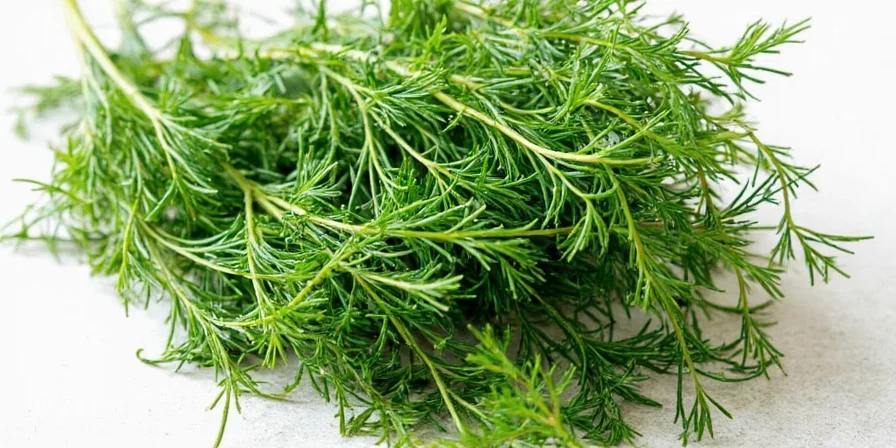 Fresh sprigs of dill on a wooden table
