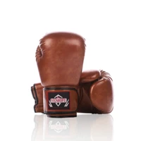 

Professional Custom Logo OEM Fight Fitness Training Boxing Gloves