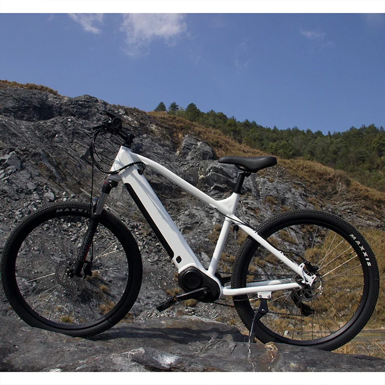 

Man 2021 Electric Mountain Bike Bomber With Hydraulic Brake