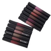 

2019 private label lipstick waterproof lipstick liquid matte lipstick