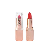 

2019 New High Quality Cosmetics Makeup Unique Cool Design Fashion Color Lipstick