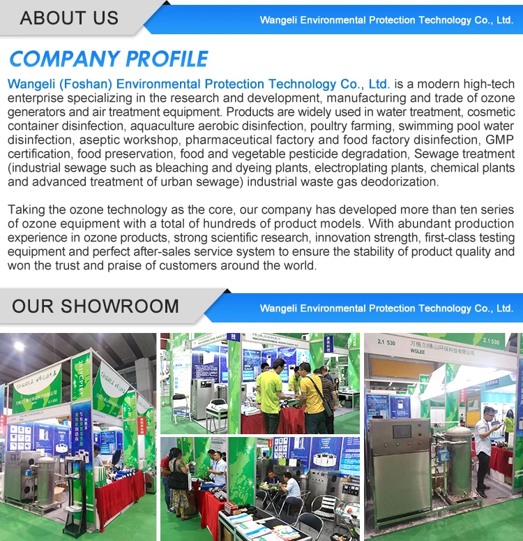 Factory direct 10g  best quality portable ozone generator ozone disinfection machine for home hotel office room