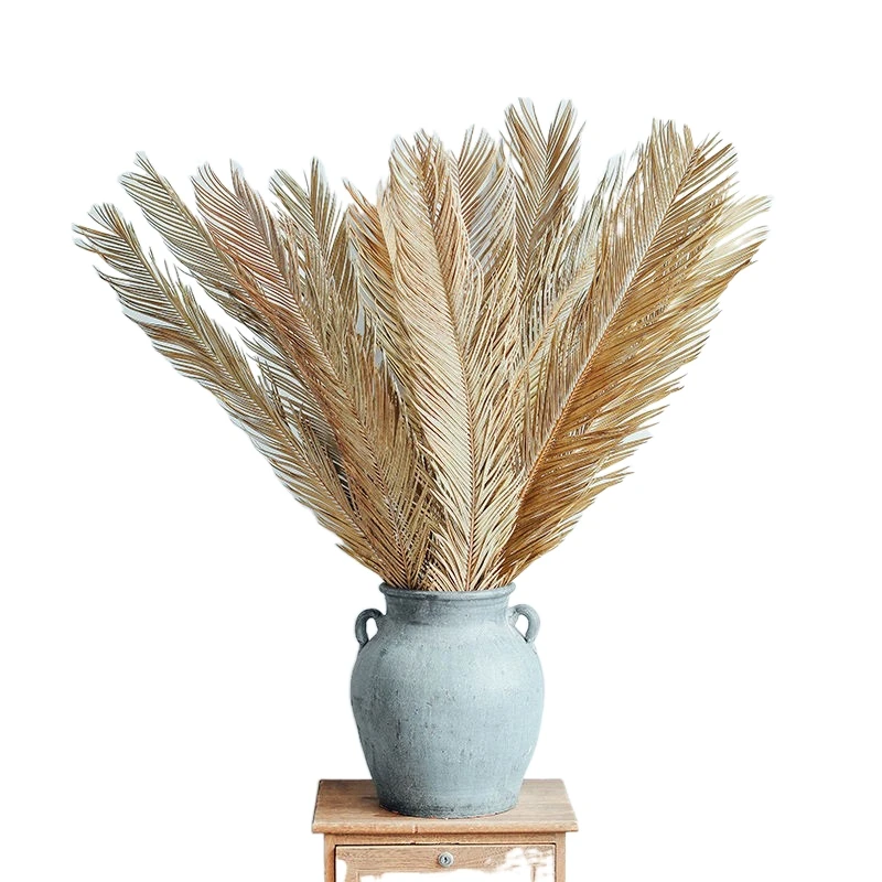 

Natural dried flowers folium cycas palm leaves for home decoration