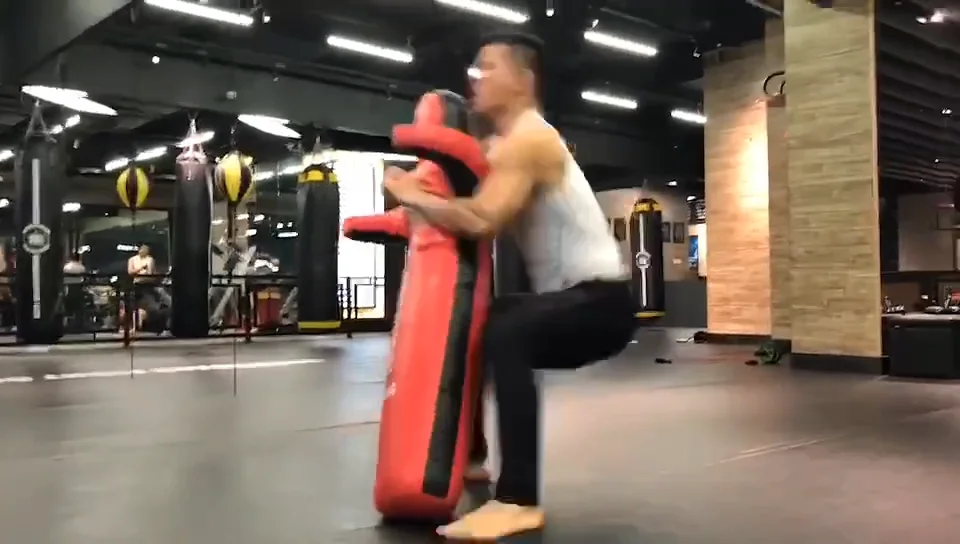 Taekwondo Fighting Onelegged Dummies Wrestling Boxing Fighting Sanda