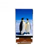Formike 3 inch ST7793 IC controller 240x400 tft lcd KWH030ST11-F01