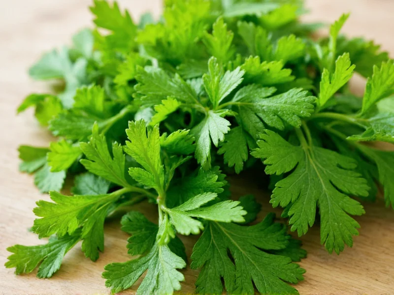 Parsley vs Coriander: Clearing Up the Herb Confusion