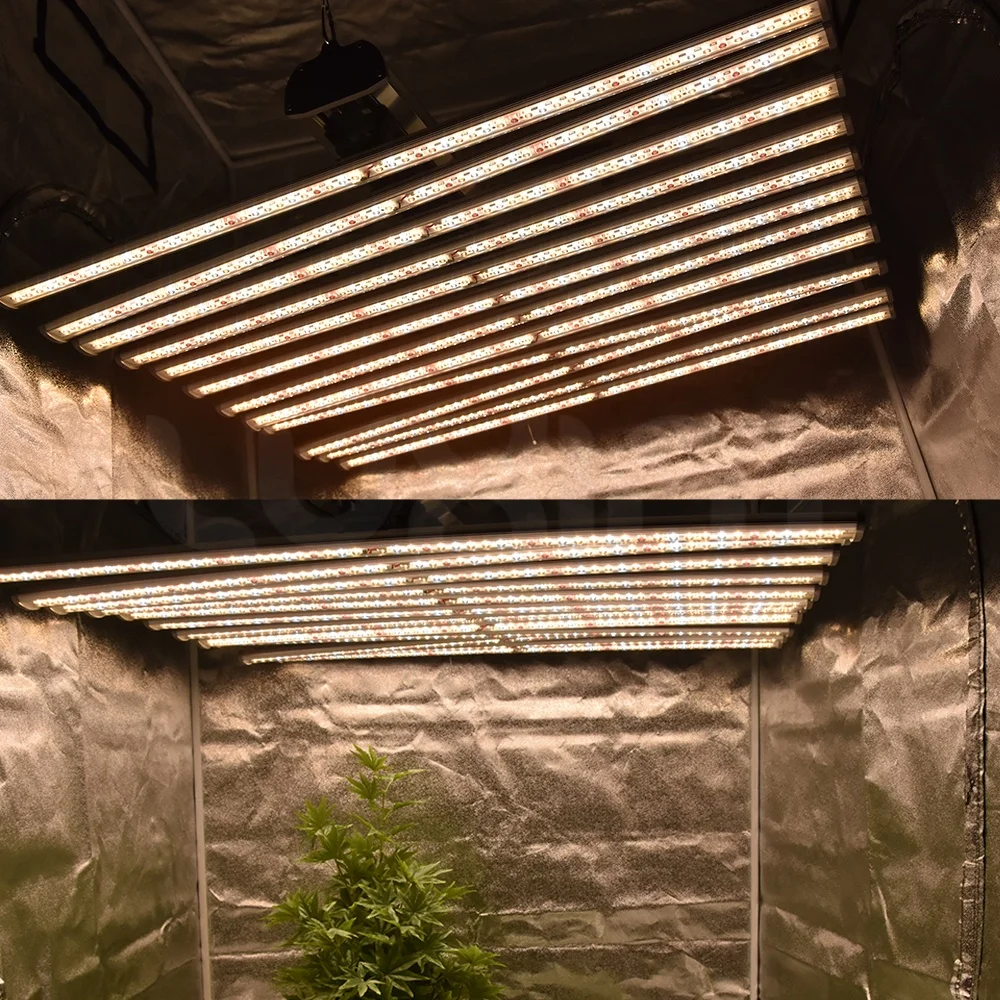 

2021 hydroponic greenhouse 12 bars 640w 800w full spectrum led grow light for indoor plant
