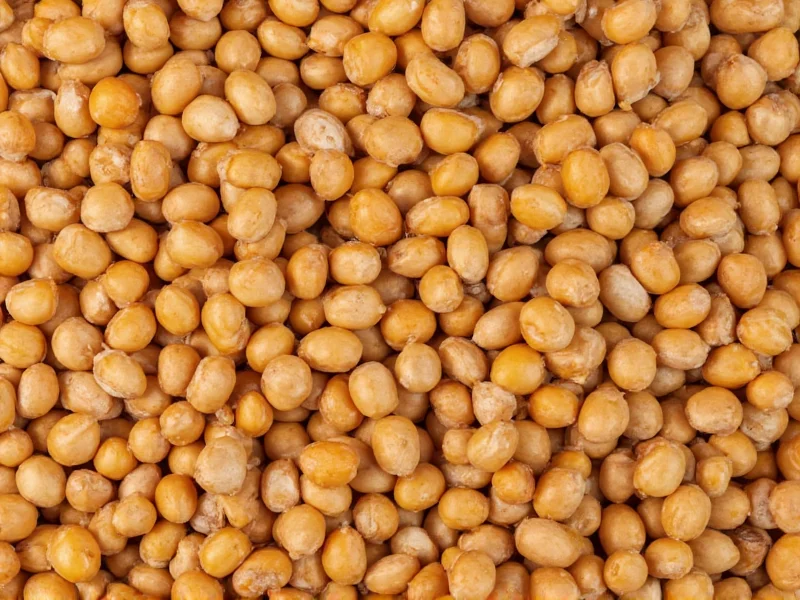 Yes, Lentils Are Legumes: Complete Botanical Explanation