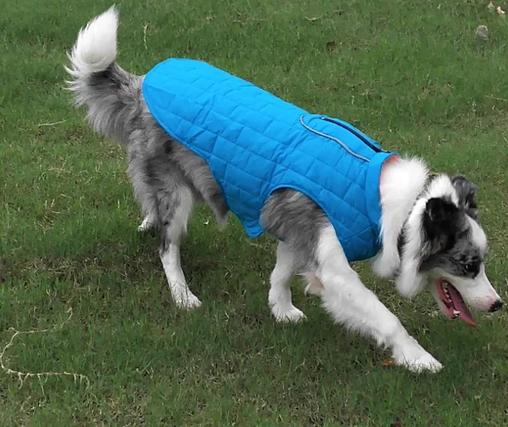 

Factory wholesale warm pet dog jacket coat winter vest for pet