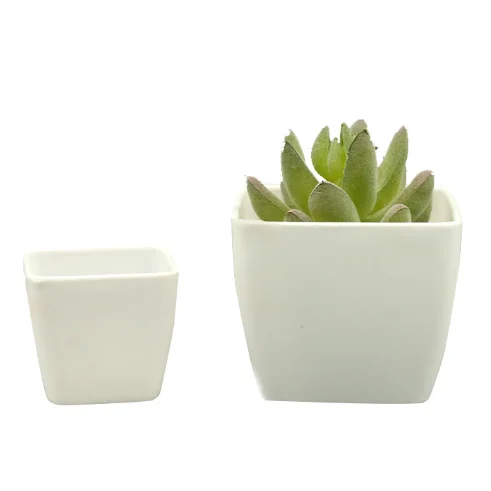 

Yicai Wholesale Eco-Friendly Plastic Cheap Flower Plant Pot