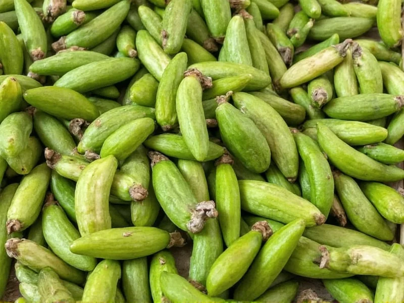 What Is a Cardamom Pod? Complete Guide to This Aromatic Spice