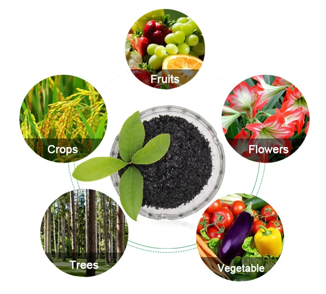 Potassium Humate.png