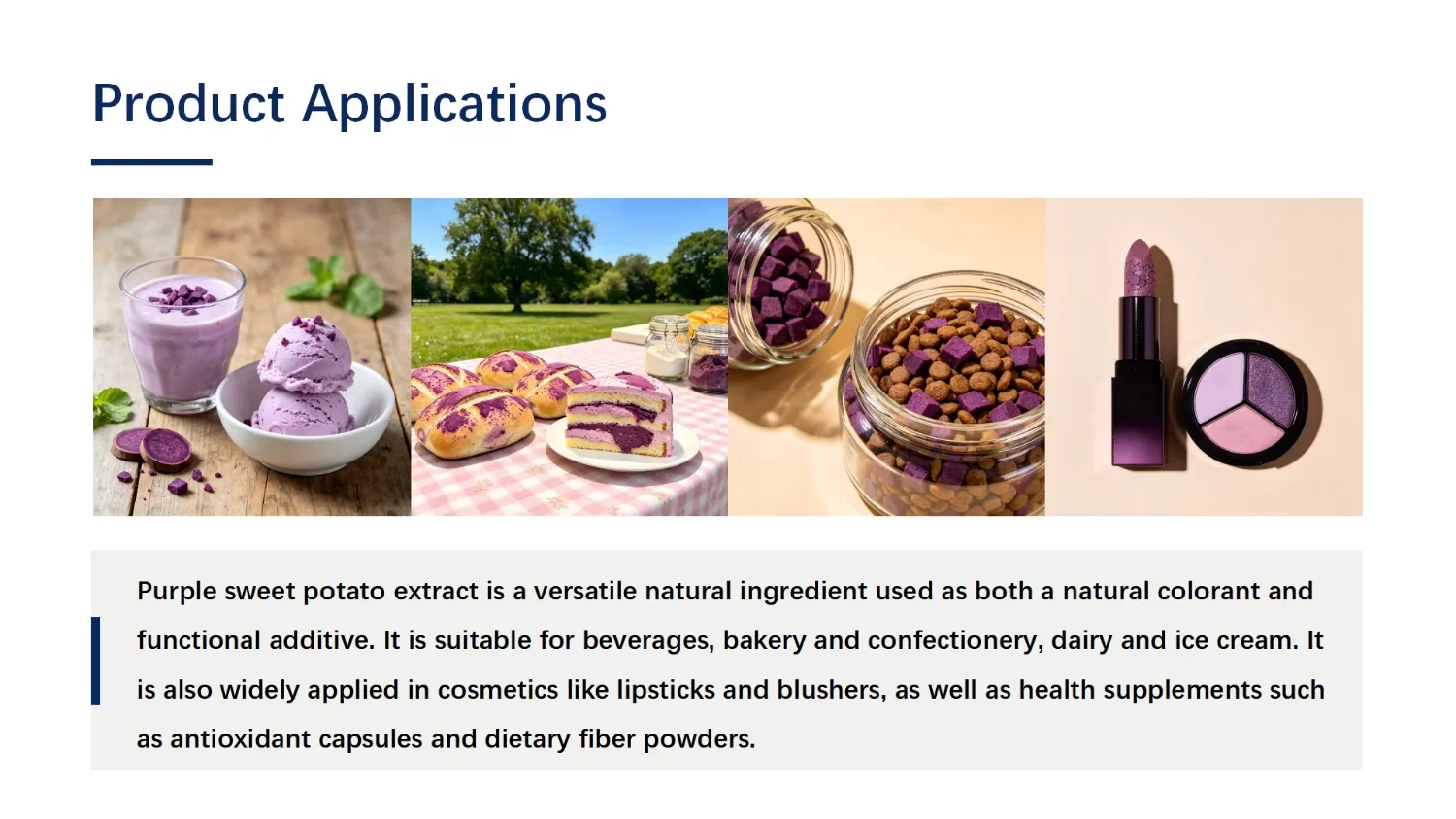 Purple Sweet Potato Powder Wholesale | Bulk Purple Sweet Potato Supplier H56a2b39acbf34943b105a462b8210106w