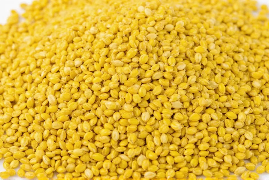 yellow mustard seed