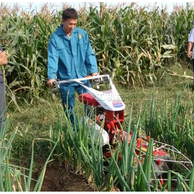 13hp Green Onion Cultivation Machine Start Manually Agricultural Rotary