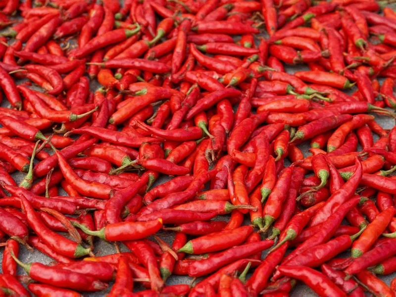 How to Dry Red Chilli Peppers: 4 Effective Methods