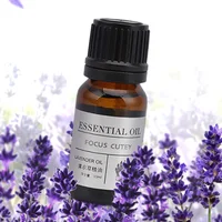 

Massaged bathed natural Angustifolia oil set 10ml aromatherapy pure lavender essential oil