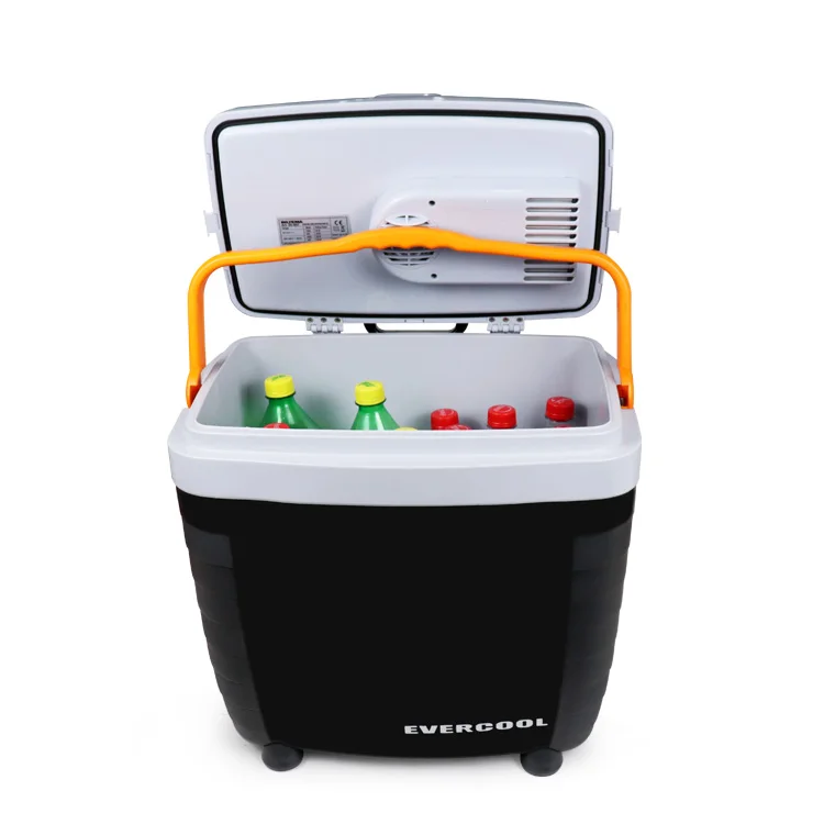 28 Litre Electric Cooler Box 12v Peltier Dc Medicine Mini Fridges Car