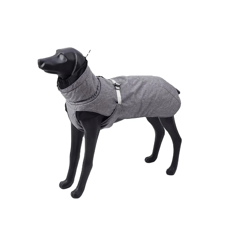 

new model of 2021 will be paired with pet clothing for autumn/winter and velvet dog clothing