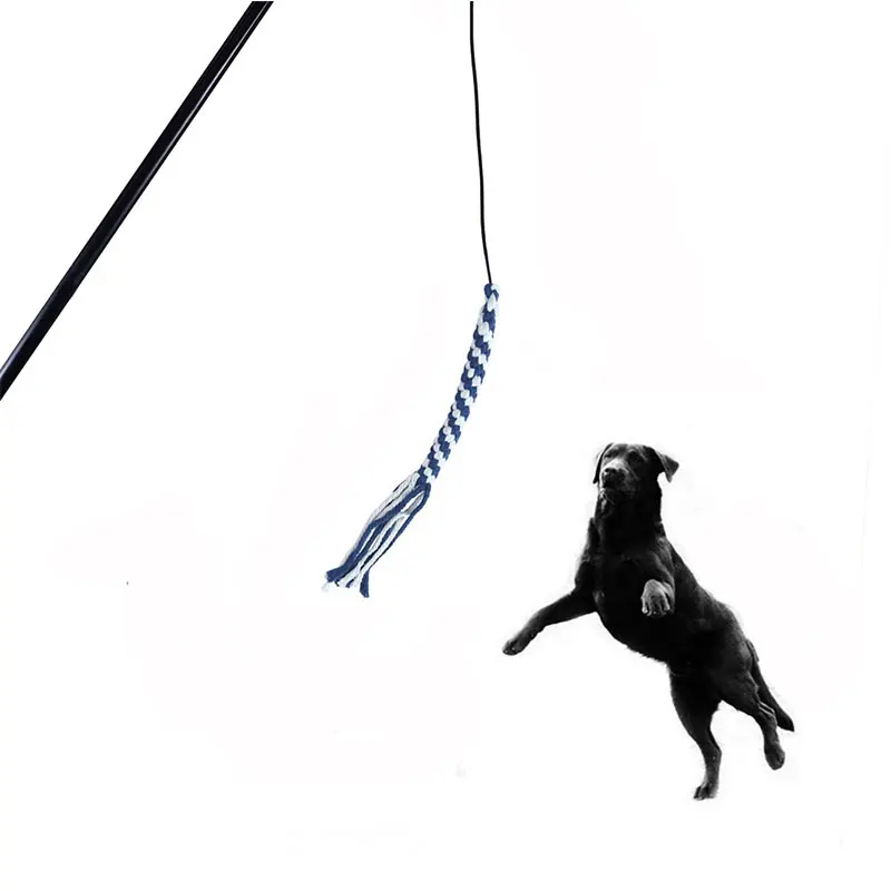

Wholesale Extendable Dog Teaser Wand Outdoor Training Rope Toy Dog Flirt Pole with 1 Cotton Chewing Rope, As picture