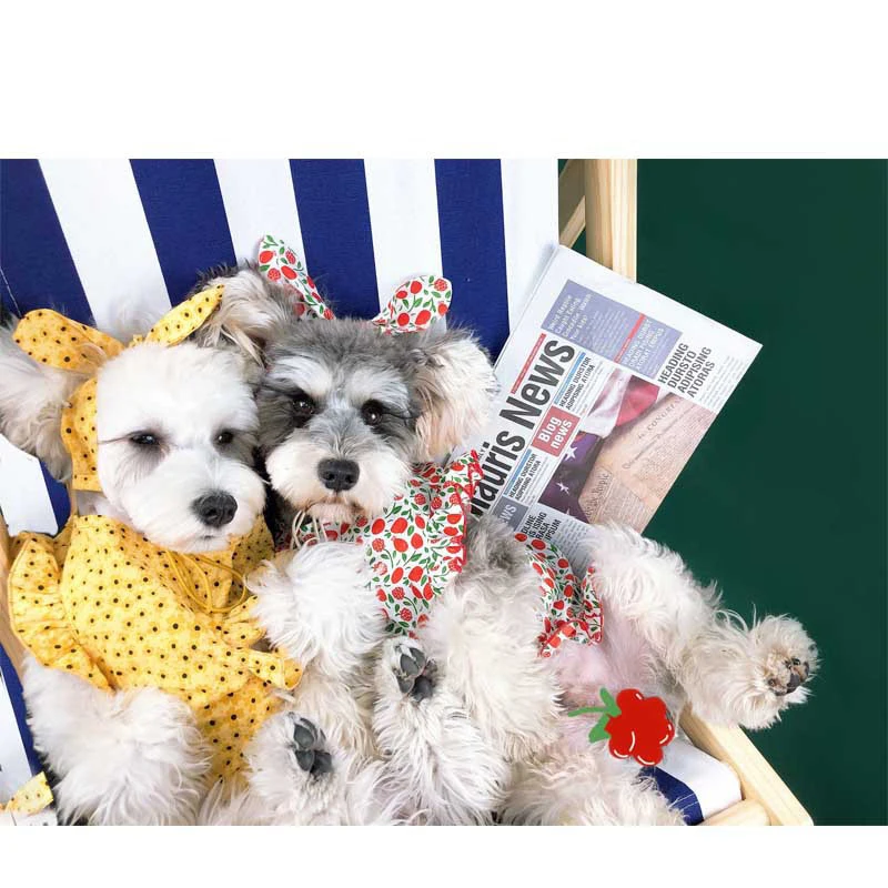 

New creativity lovely fresh cool dog clothes fashion summer dog clothes Pet Apparel, Many colors